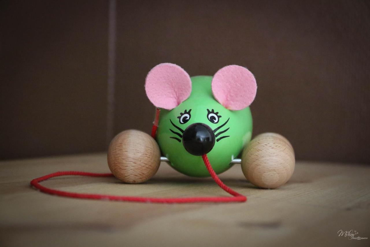 Gite De La Souris Verte Molamboz Εξωτερικό φωτογραφία